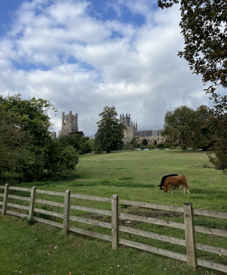 A Perfect Day Trip: Exploring Cambridge and Ely by Train