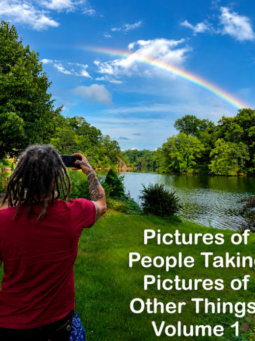 Pictures of People Taking Pictures of Other Things: Volume One (Digital Edition)