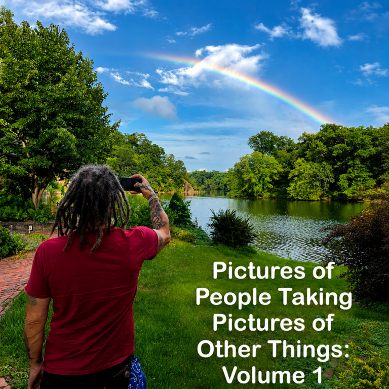 Pictures of People Taking Pictures of Other Things