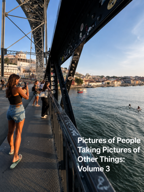 Pictures of People Taking Pictures of Other Things Volume Three NRDLIFE photo zine